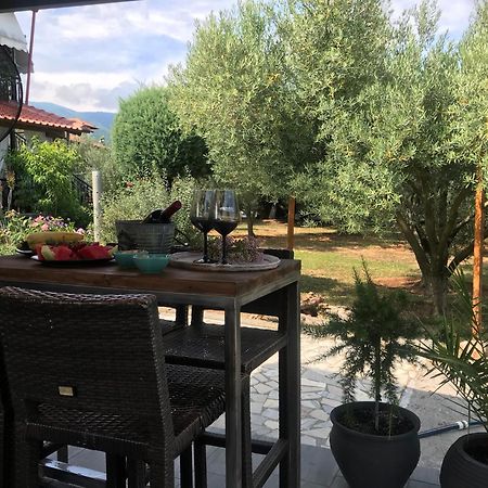 Terra Holiday Homes Aszproválta Kültér fotó
